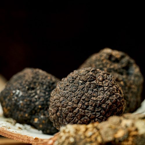 A whole black truffle on bark. Selective focus, close-up. Noise grain in post-production