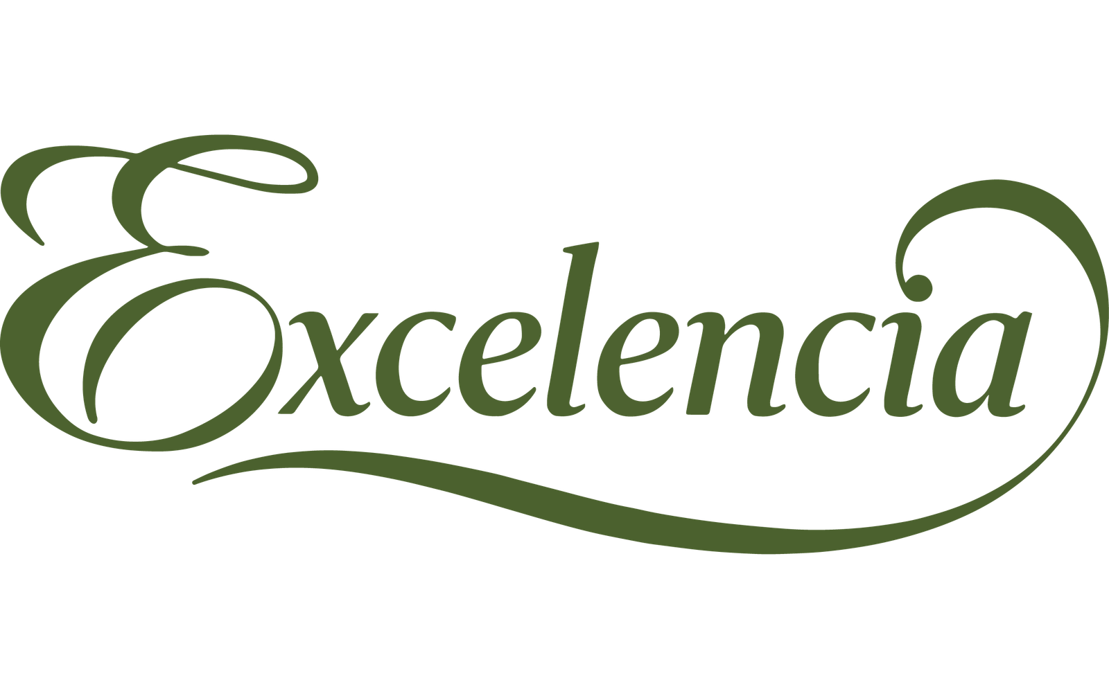 Excelencia
